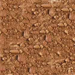 Mustard DOC Mustard DOC